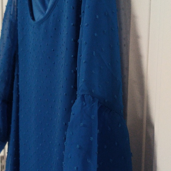 New Dotted Swiss Blue Dress / 2X - Picture 8 of 8